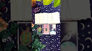 Gemini 815 Light Up The Dark Daily Short.