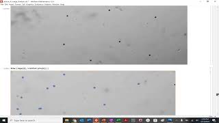 Mathematica Image Displacements