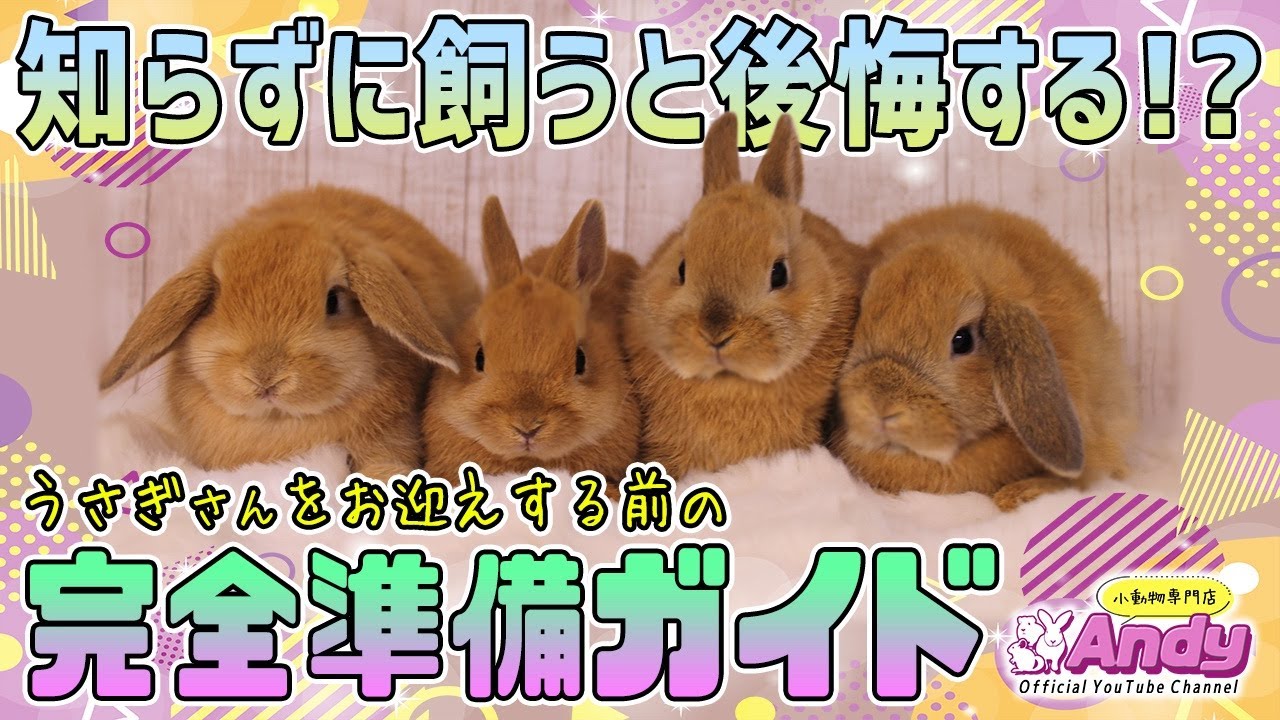 お取り置きオーバルM たまごを抱いたうさぎさん マーガレットとスノー