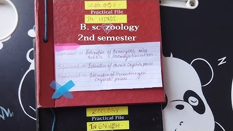 2nd sem Zoology Practical file /Hindi and English Hemoglobin/ Heamin/ Heamochrogen crystals process