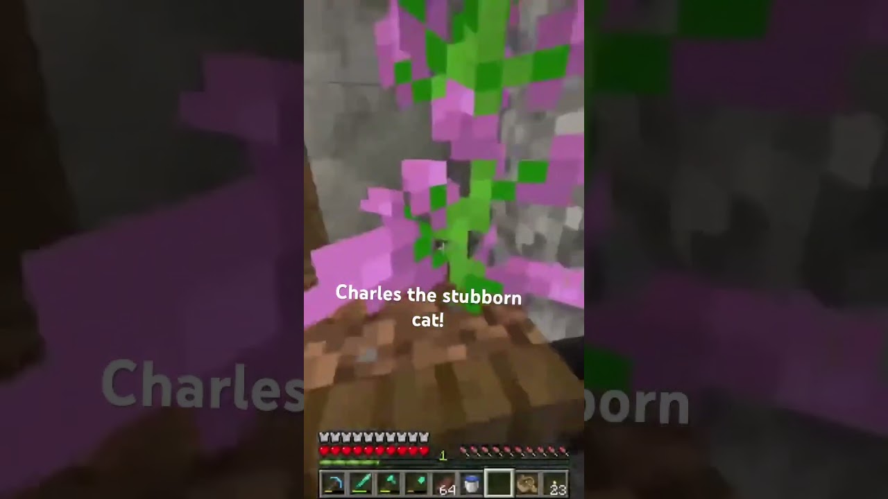Why is charles so stubborn #minecraft #gaming #survival #games #minecraftmemes #funny #minecraftcat