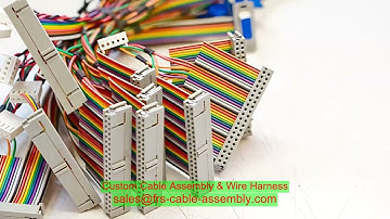 Nhà sản xuất lắp ráp cáp Máy ly hợp Máy sản xuất cáp Ducab bọc thép I-PEX 20496-026T 3 1 CCTV Polyca