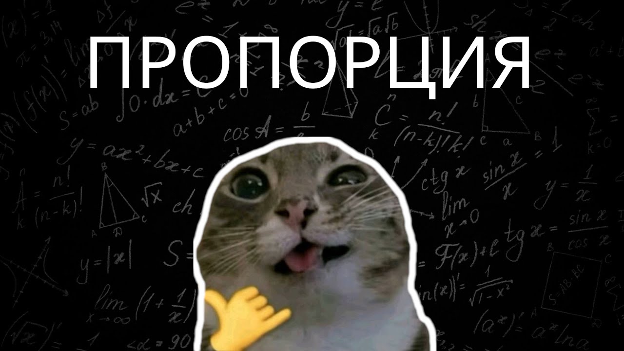 ГАЙД НА ПРОПОРЦИЮ