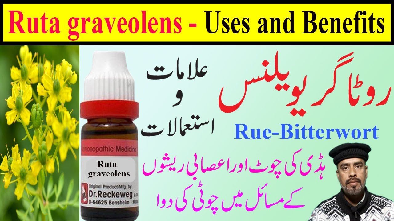 Ruta Uses Ruta Uses