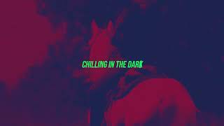 CHILLING IN THE DARK (20100113)