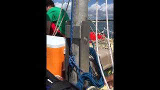 IMG 0218