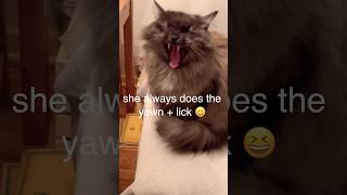 Princess Aka Donut Gets A Lovin