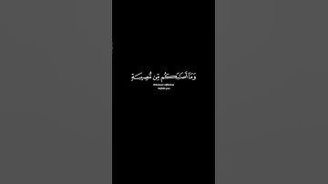 تلاوة القارئ سعد الغامدي | سورة الشورى آية 30 #الله #القرآن #لا_اله_الا_الله