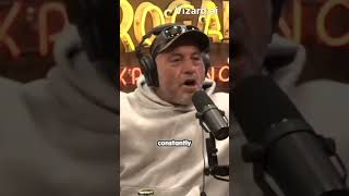 Twitter/X bots and fake accounts. joe rogan Elon Musk