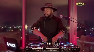 D-Nice – Live DJ Set | 2020 Roots Picnic Virtual Experience