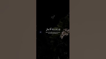 تلاوة هادئة تريح القلب 💙 عبد الرحمن المسعد 💙🤍