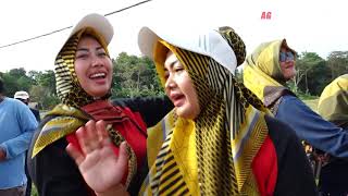 Download Lagu WADON SELINGAN - ANDI PUTRA 2 | LIVE DUET CIKAUM MP3