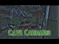 DayZ - My Cave Base Cannabis Plants