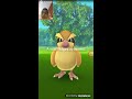 PGO: Pokemon go no BRASIL