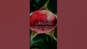 #صوت_جميل #تلاوة_خاشعة #رح_سمعك #اكسبلور #islam #viral#300k#fyp#foryou #viral #300k#fyp
