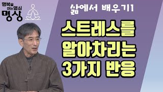 이 '3가지 반응'이 일어날 때 스트레스를 알아차릴 수 있다-행복을 여는 열쇠 명상 17회