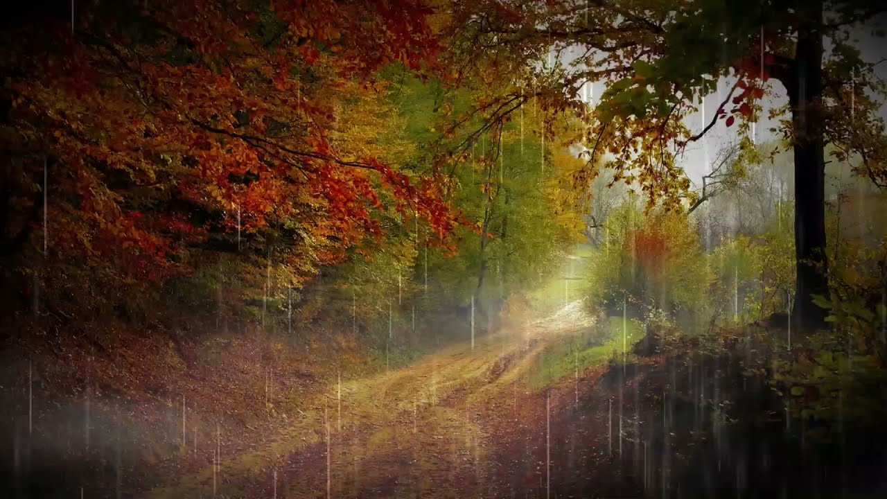 Virtual Rain in Autumn || Sounds of Rain and Thunder || Relaxing Rain for Sleeping