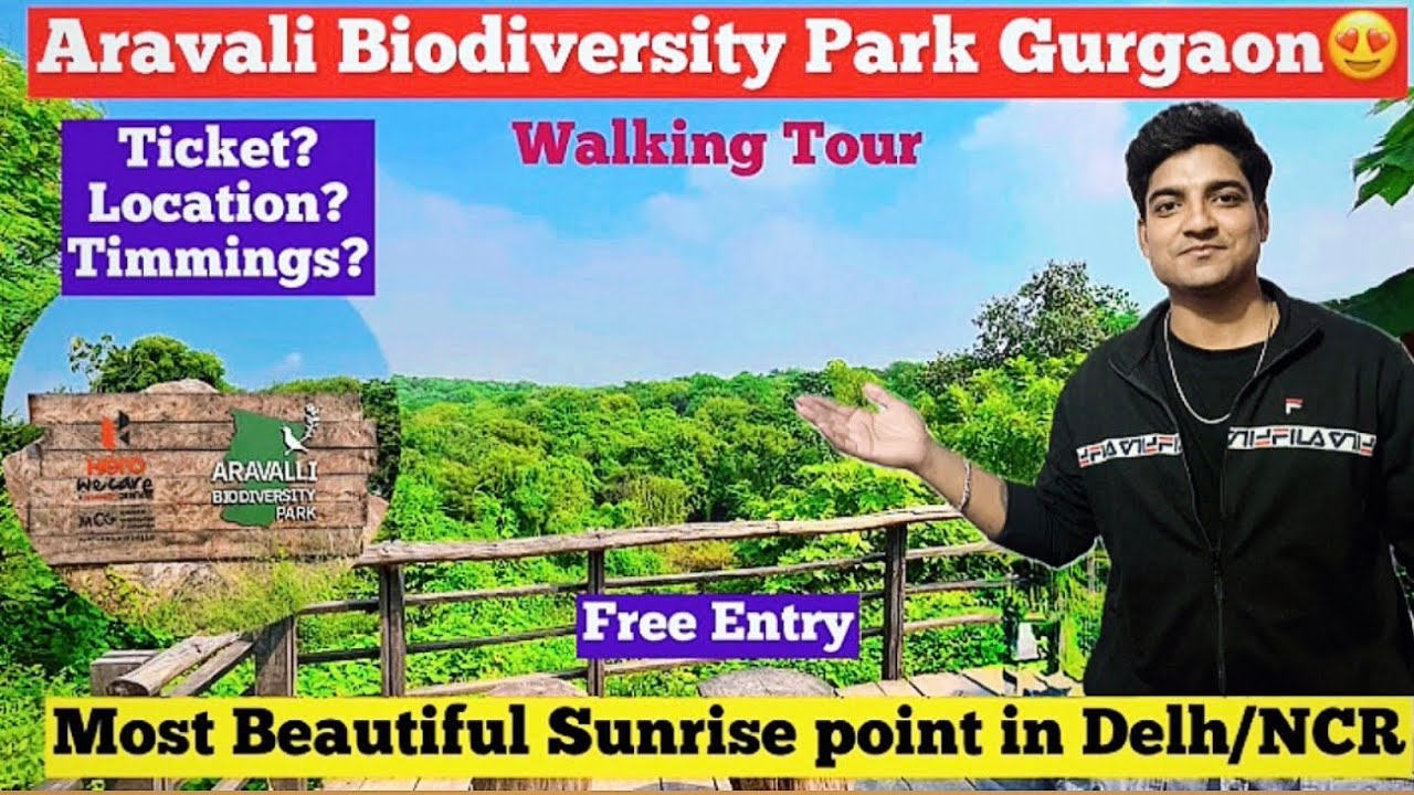 Aravali Biodiversity Park 🌿 | Hidden Green Paradise in Delhi NCR | Full Tour
