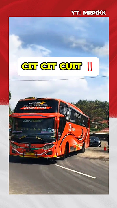 NGIDAM BASURI CIT CIT CUIT ⁉️💥 #busmania #telolet