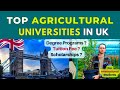 Top Five Agriculture Universities and Courses in the UK I agriculture st...