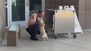 PACC at extreme capacity, in need of fosters or adopters
