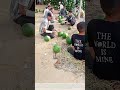 Passing Ripe Melons: Synchronized Rural Teamwork for Rapid Watermelon Unloading