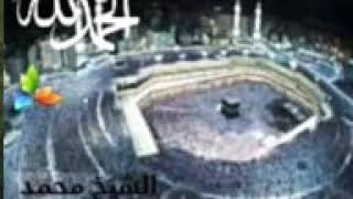 سورة الأحقاف، الشيخ محمد المحيسني