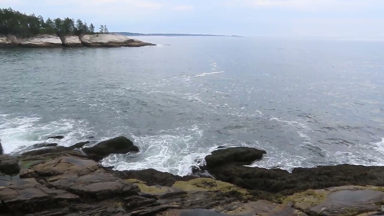 Ledgewood Preserve ebb tide