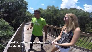 Ap Environmental Overfishing Awareness
