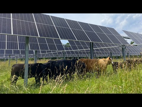 BlueWave Illuminates a Brighter Future for Farmers