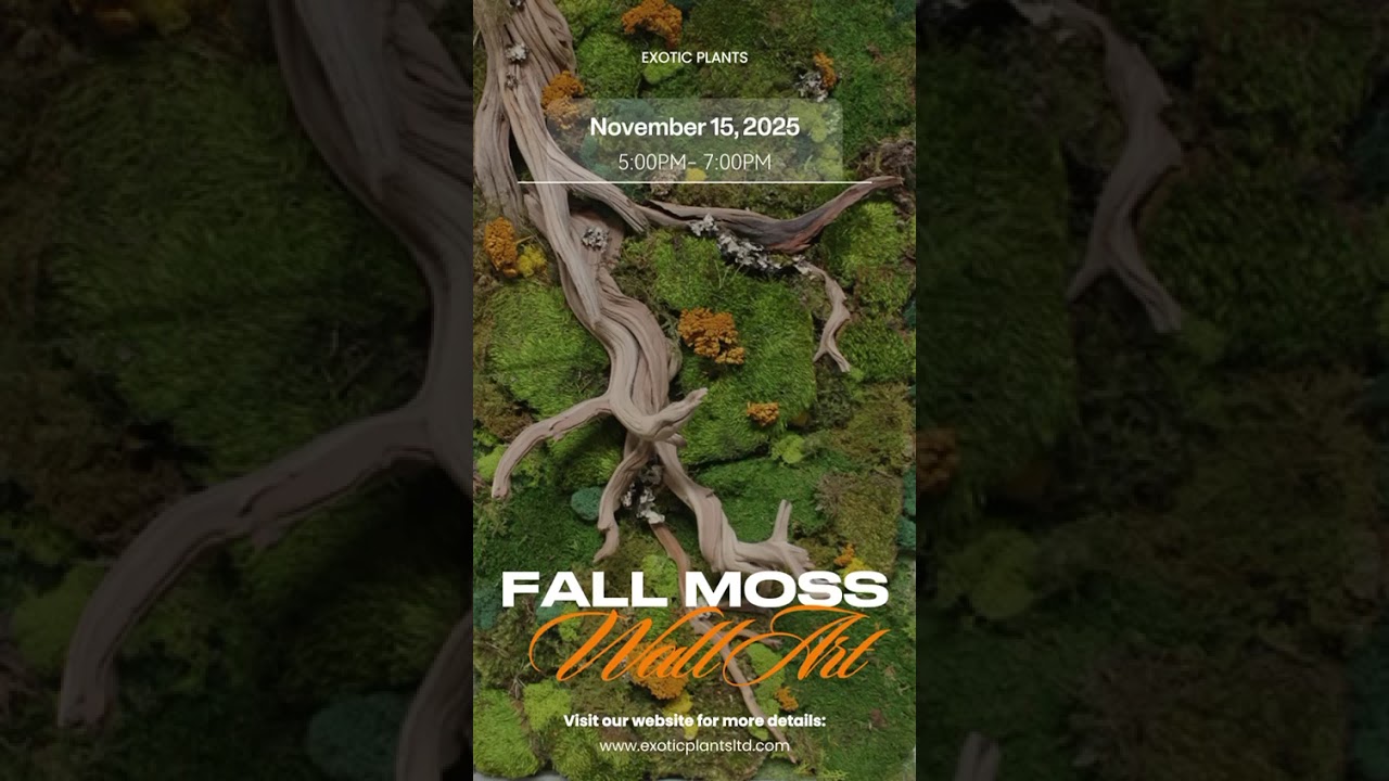 Fall Moss Wall Art 