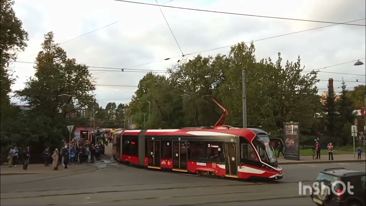 Витязь-Ленинград 8929 