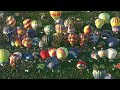 Day 1 of Albuquerque International Balloon Fiesta from the sky