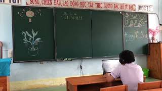 ID1307538762_K4_Ca1_P05_Video02