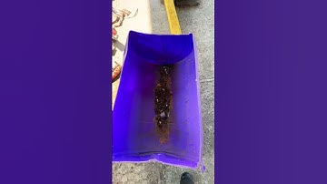 How much rusty metal can be in a 1962 C10 Pick Up? #project #truck #repair #thumbnail #YouTube #fail