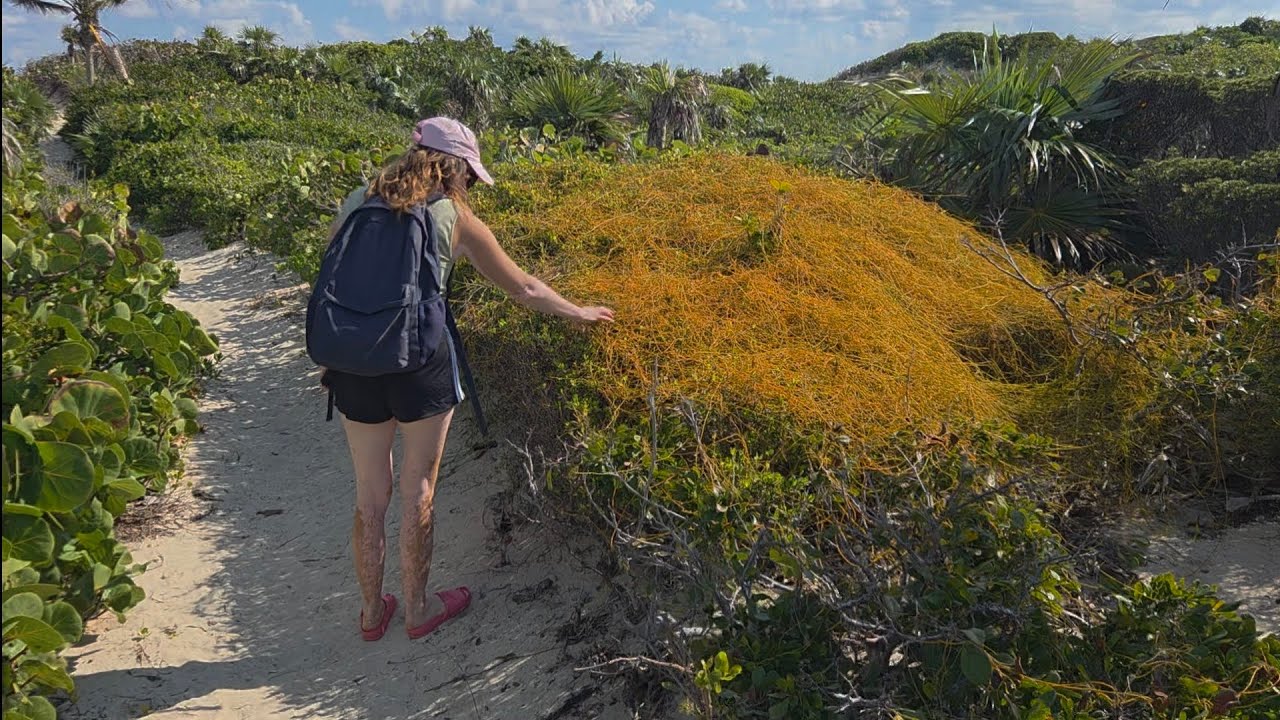 ⁣La Saint Valentin aux Bahamas, pourquoi pas 🤩🥰