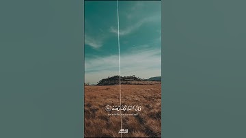 سورة الغاشية _ أفلا ينظرون إلى الابل كيف خلقت _ الشيخ محمد رفعت