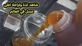 شاهد أغلى عسل في العالم