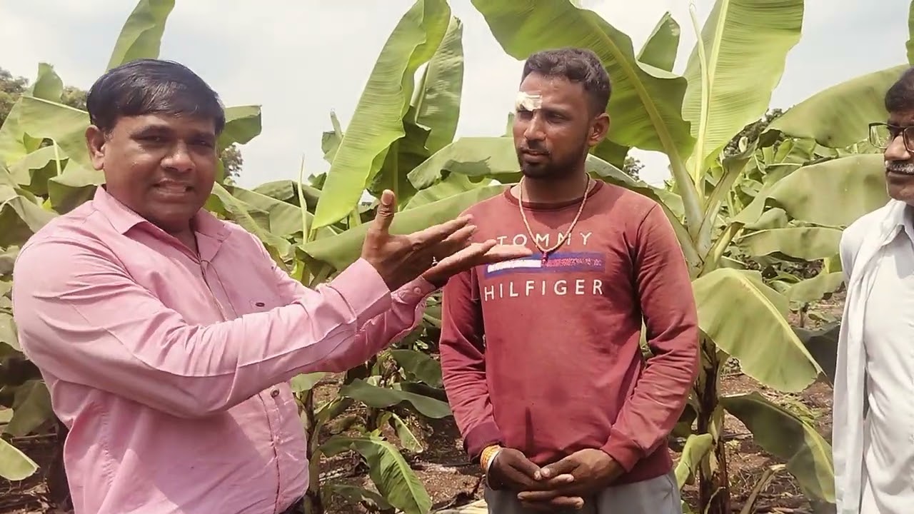 Gautam Chapke netsurf results keli vadoda 