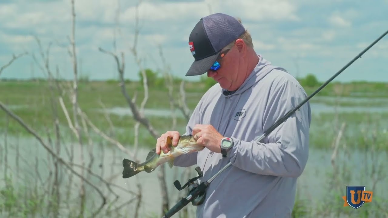 Ultimate Bass Fishing Soft Plastic: What is a Strike King Scounbug?