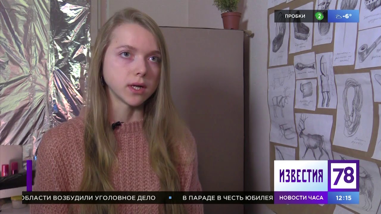 Кукольный мультфильм, основанный на реальных событиях (13.01.19, канал 78)