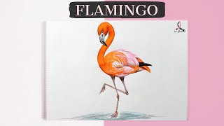 How to Draw a Flamingo | Flamingo Drawing | राजहंस बनाना सीखें