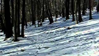 MVI_5518.AVI