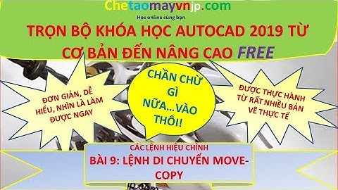 Các lệnh hiệu chỉnh trong autocad 2019/Bài 9 Lệnh di chuyển move-copy