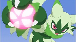 Floragatoeditkeep Up