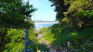 Walking in Kamakura, Temple on a hill overlooking the sea.