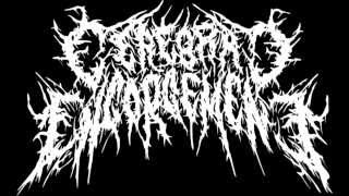 Cerebral Engorgement - Pedophiles on a Psychedelic Trip