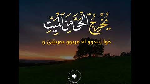 قارئ عبدالرحمن مسعد-سورة الروم-
