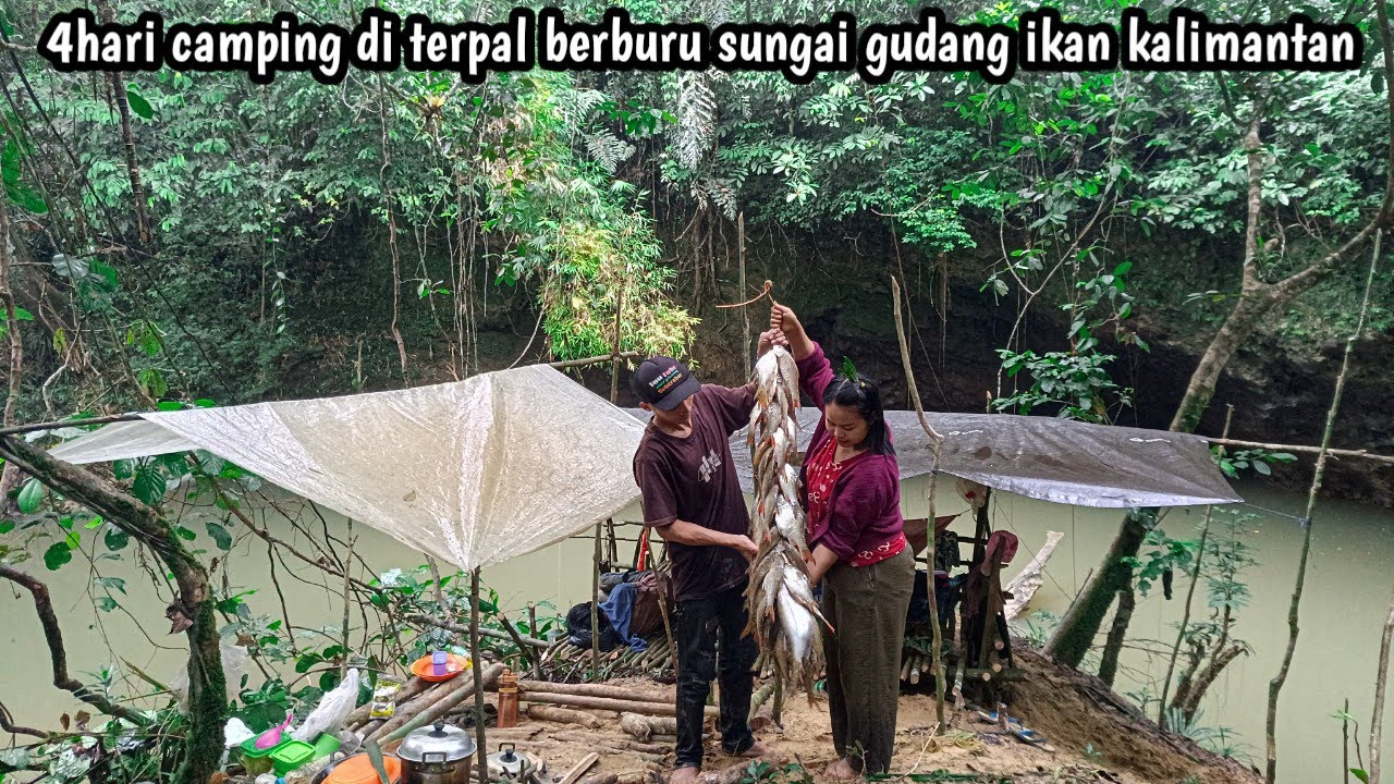 4hari camping di terpal berburu sungai gudang ikan kalimantan