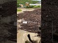 Смерч и потоп на Кубани #наводнение #стихия #Россия